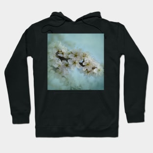 Plum Blossom Hoodie